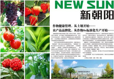 土壤全程管理 全面认识新朝阳GEW水基洁能肥